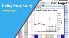 Peter Webb, Bet Angel – Horse racing trading analysis