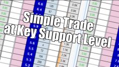 Peter Webb, Bet Angel – Simple trade at a key support level in the market