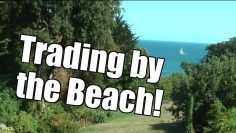 Peter Webb, Bet Angel – Trading by the beach!