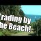 Peter Webb, Bet Angel – Trading by the beach!