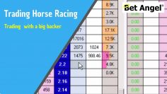Peter Webb, Bet Angel – Trading on Betfair with a big backer in the market
