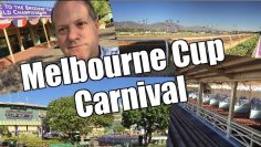 Peter Webb, Bet Angel – Where to find quality racing in November