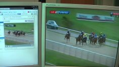 SKY vs Betdaq & Betfair live video feed comparison