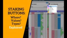 STAKING BUTTONS: Where? Changing Values and Types Explained