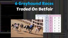 Trading the Greyhounds on Betfair Exchange, 6 races!!
