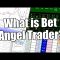 What is Bet Angel trader? betfair