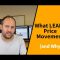 What LEADS Price Movement? (and Why)