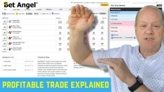 Betfair trading | How to trade on Betfair with BIG stakes and short prices