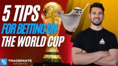 Betting Tips for FIFA World Cup 2022