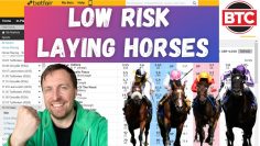 Horse Racing Lays – Laying at Short Odds For Low Risk Profits!