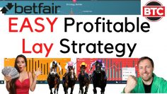 An EASY Money Making Strategy for Laying Horses! (And Laying in General)