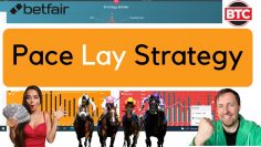 Pace Lays – Profitable Horse Racing Betfair Trading Strategy
