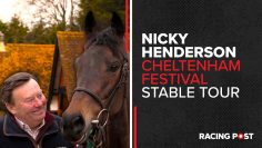 Nicky Henderson | Cheltenham Festival Stable Tour 22/23