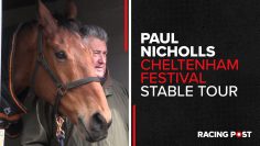Paul Nicholls | Cheltenham Festival Stable Tour 22/23