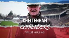 WILLIE MULLINS CHELTENHAM CONTENDERS 2023