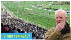 Betfair trading | Did I win all those races at Cheltenham, or was it a bluff?