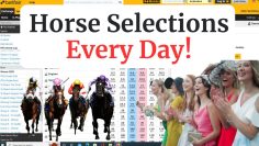Betfair Trading Horse Racing Selections – Instantly Every Day!