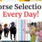 Betfair Trading Horse Racing Selections – Instantly Every Day!