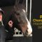 #BettingPeople Interview Paul Chandler-Burns 1/3