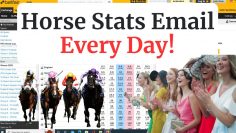 NEW Horse Racing Trading Stats Highlights Email – Betfair