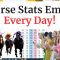NEW Horse Racing Trading Stats Highlights Email – Betfair