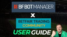BF Bot Manager User Guide – Betfair Automation