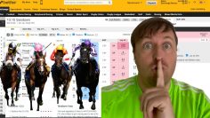 Horse Racing Trading Strategy – Automated Results + Performance Indicators!