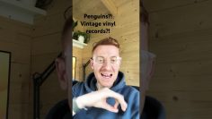 Antarctic penguins and vintage vinyl records are connected to Betfair trading?