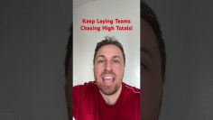 Betfair Cricket Trading Strategy – Low Odds Lay Wins Again!