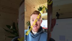 Which type of trader are you?